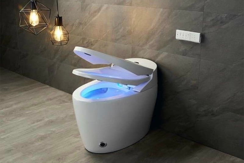 Bồn cầu thông minh là gì? (Hình 2)