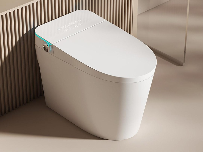 Bồn cầu thông minh là gì? (Hình 7)