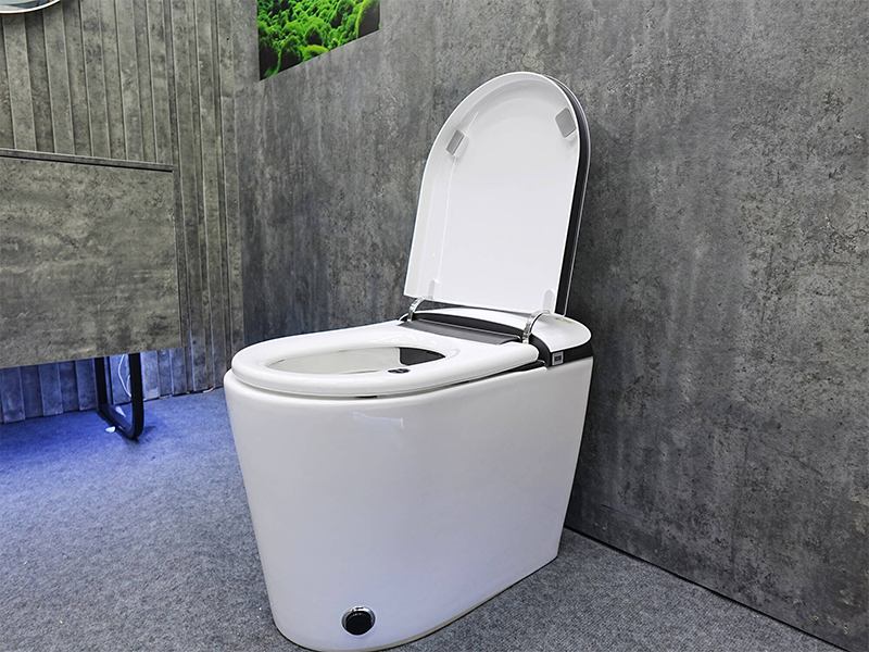 Bồn cầu thông minh là gì? (Hình 8)
