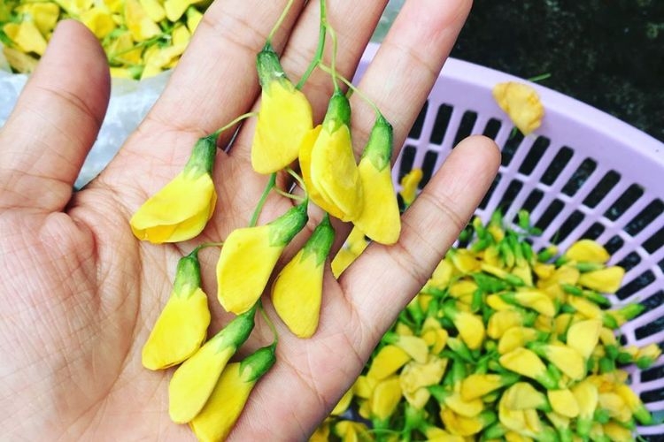 bông điên điển nấu gì ngon