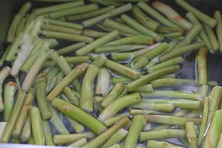 bồng khoai 7