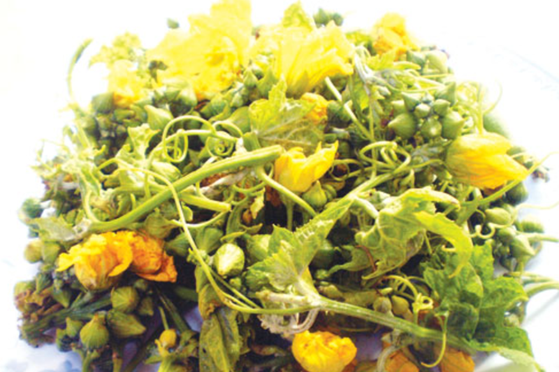 Bông mướp (hình 1)