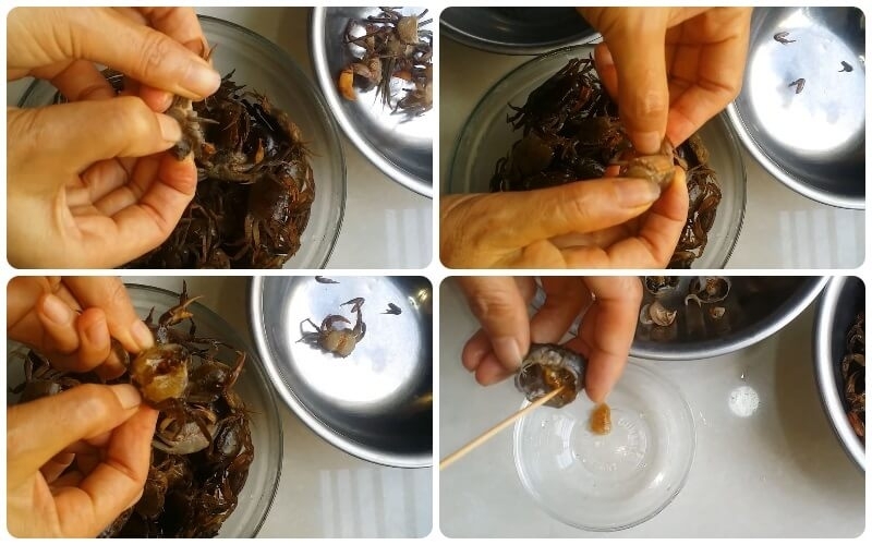 bún riêu cua ốc 4