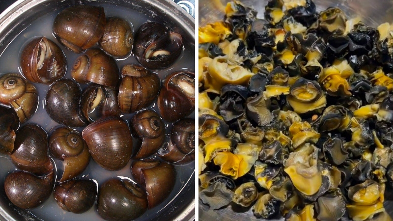 bún riêu cua ốc 7