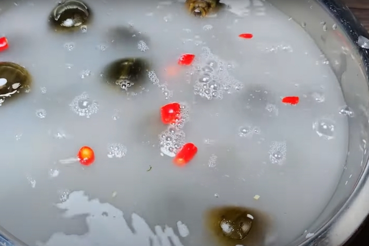 bún riêu ốc miền tây 2