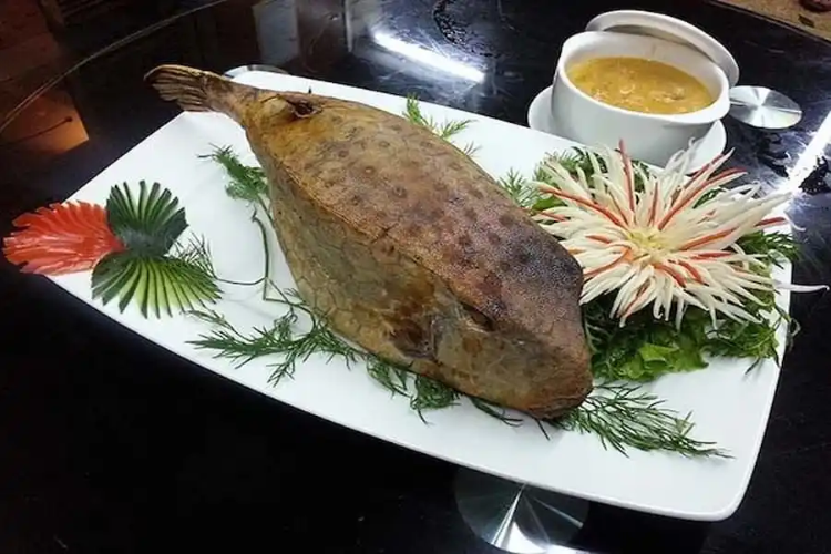Cá bò hòm hình 8