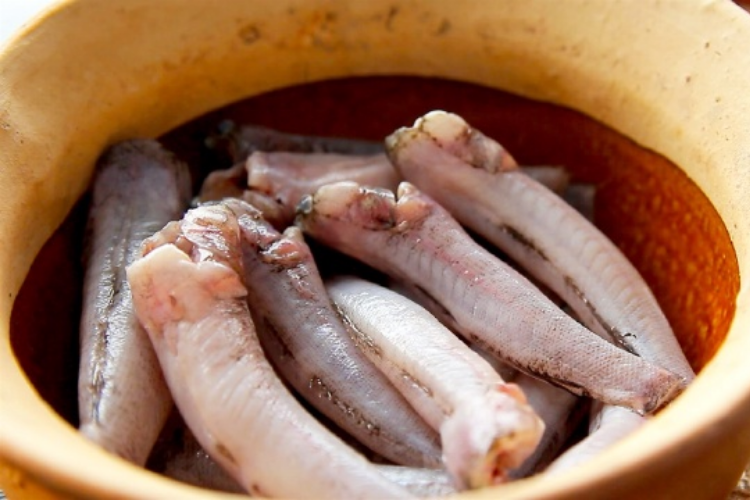 cá bống 2