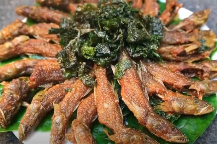 cá bống 5