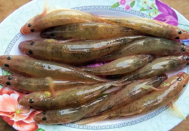 nguyen lieu ca bong nau canh chua