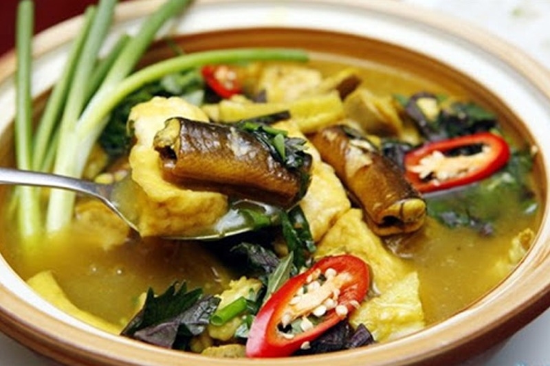 Cá chạch 10