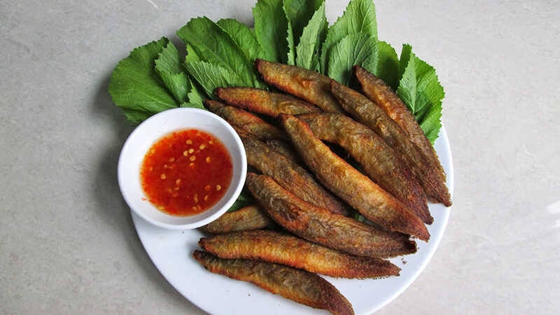 Cá chạch 8