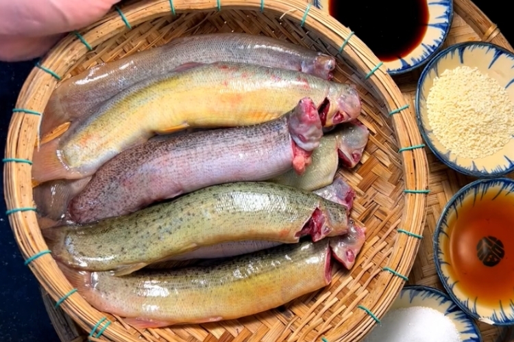 cá chạch kho tiêu 2