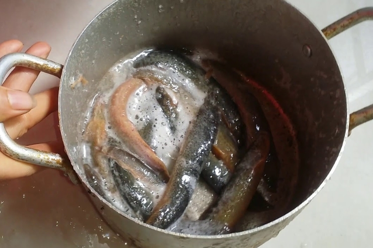cá chạch kho tiêu 7