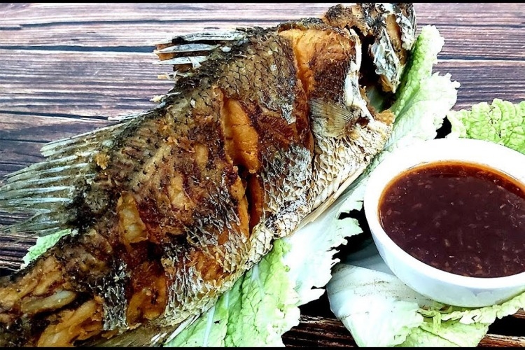 cá chẽm ảnh 5