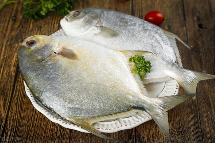 cá chim sốt cà chua hình 2