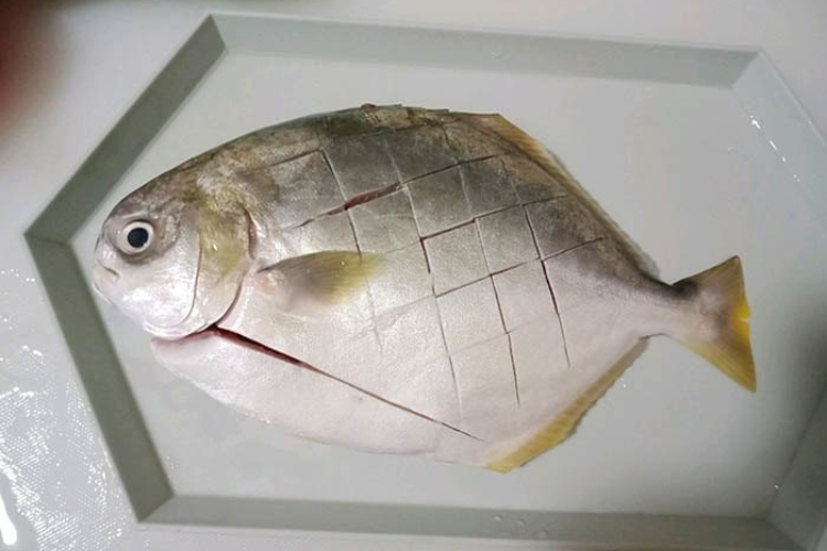 cá chim sốt cà chua hình 4