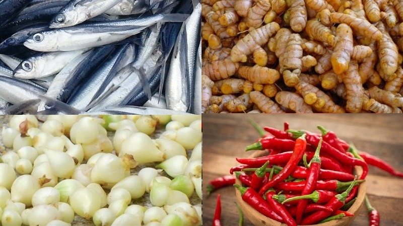 cá chuồn chiên 1