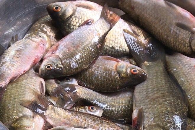 Cá diếc kho riềng - hình 6
