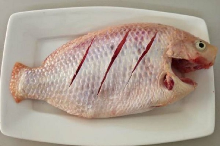 Cá điêu hồng sốt me (Hình 2)