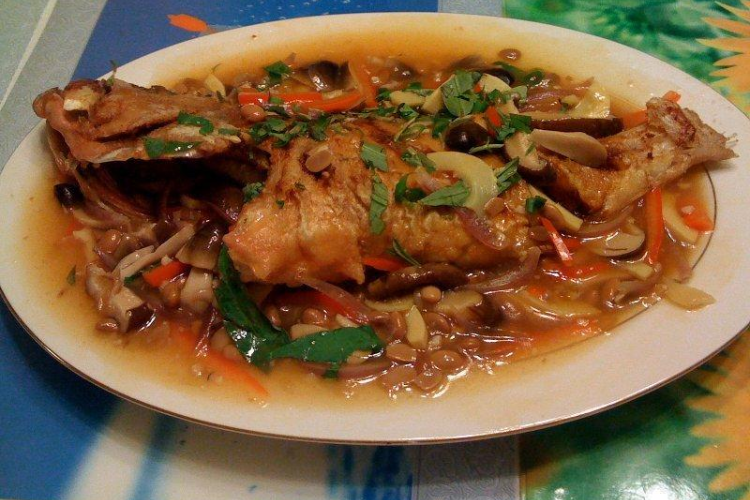 Cá hô hình 6