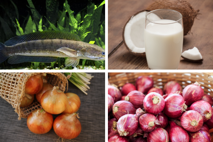 Cá lóc hấp nước cốt dừa hình 2