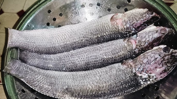 Mách nhỏ cách làm cá lóc nướng riềng mẻ cuốn với bánh tráng cực ngon và ...