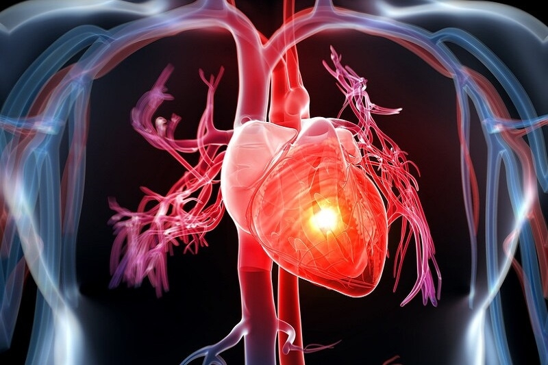 Omega 3 bảo vệ tim, ngừa ung thư