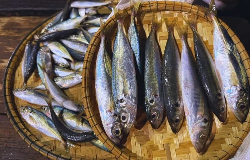 Cá nục kho xì dầu 1