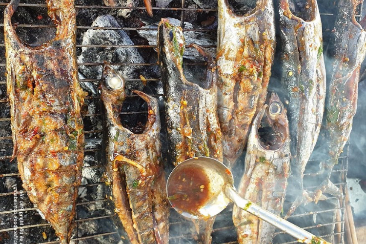 cá ồ 4