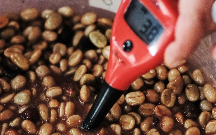 Cà phê lên men​ (Hình 1)