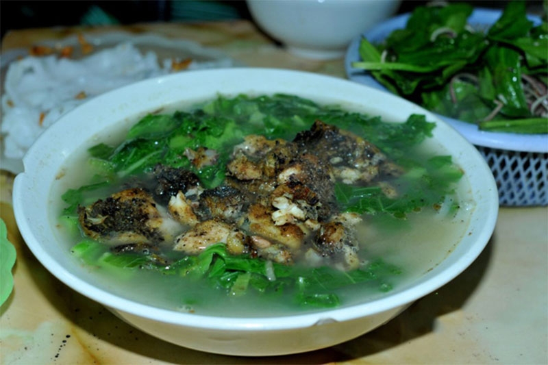Cá thòi lòi hình 5