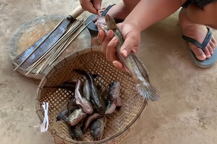 Cá thòi lòi nướng muối ớt (Hình 5)