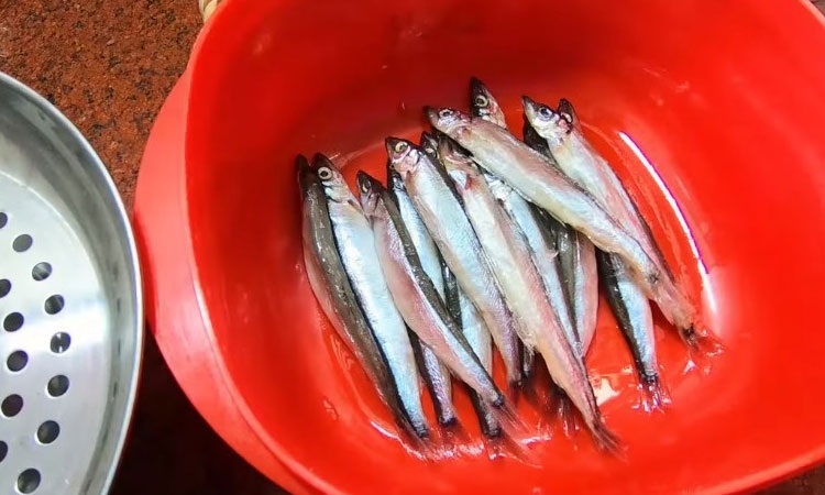 Cá trứng nướng (Hình 2)