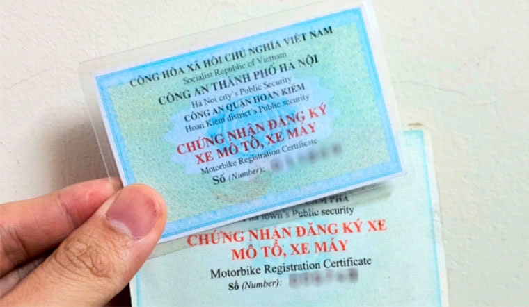 cà vẹt xe là gì-5.jpg