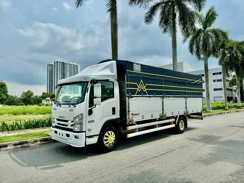 Các loại bằng lái xe 2026 4