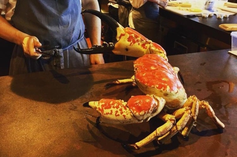 các loại cua 9