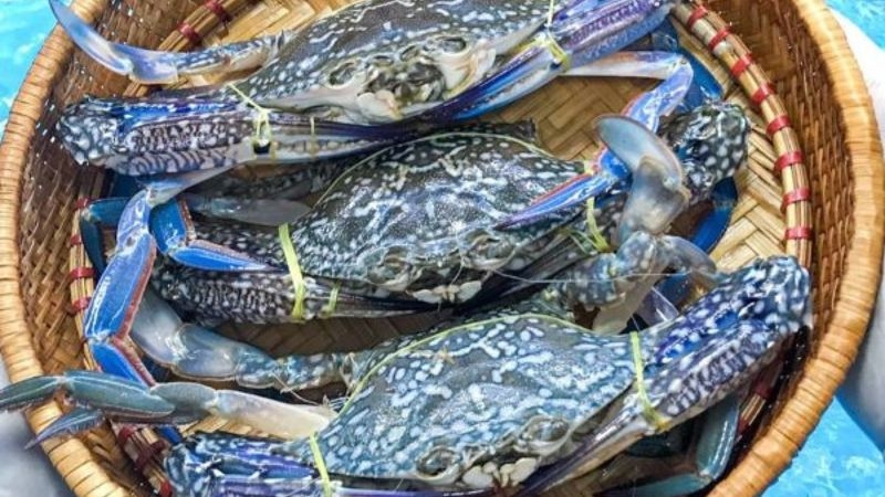 các loại ghẹ ảnh 1