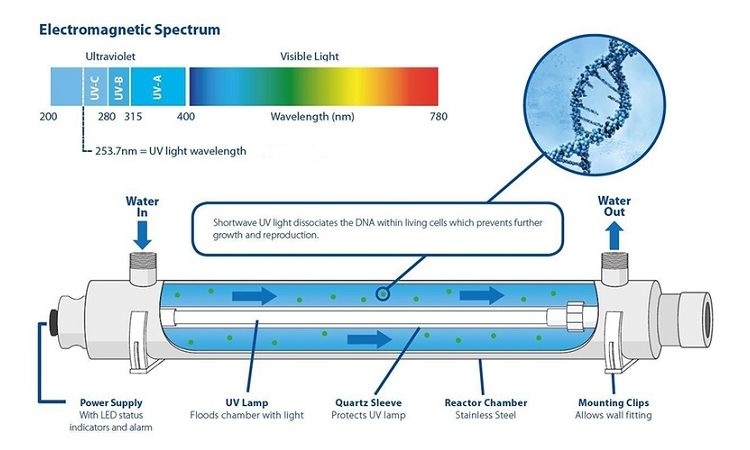 các lớp điện kép EDL 6