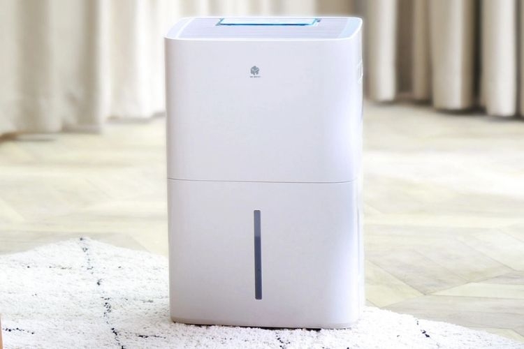 Các món ăn tăng sức đề kháng mùa nồm ẩm 2