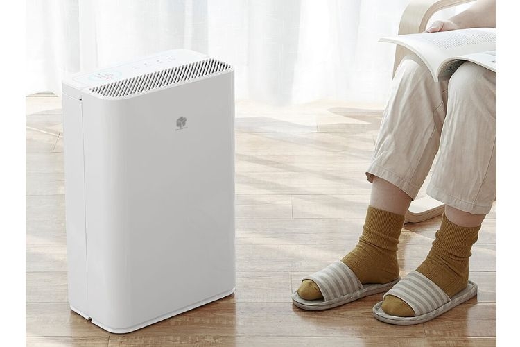 Các món ăn tăng sức đề kháng mùa nồm ẩm 4