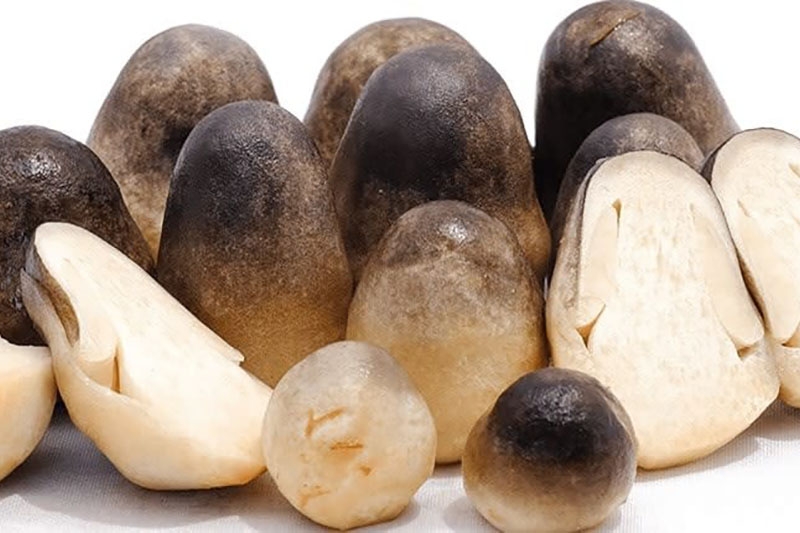 các món ăn từ nấm (hình 1)