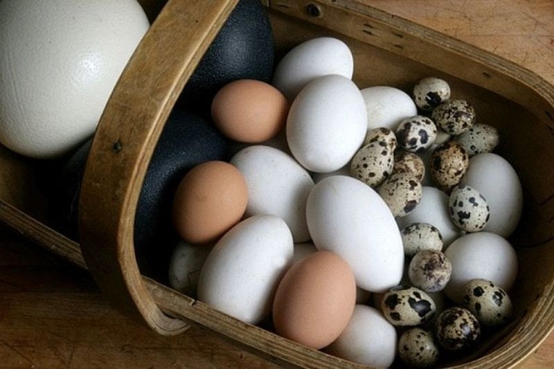 Các món trứng ngon ảnh 1