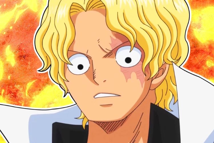 cac-nhan-vat-trong-one-piece-6