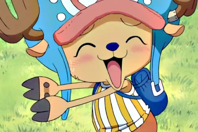 cac-nhan-vat-trong-one-piece-8
