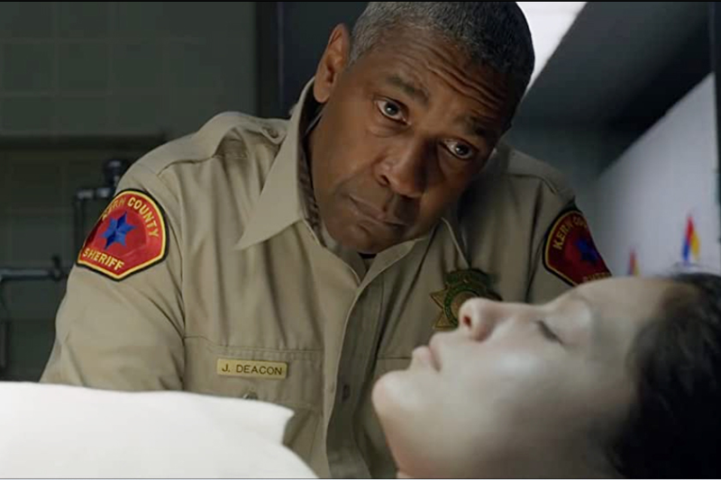 Các tập phim có sự tham gia của Denzel Washington (hình 2)