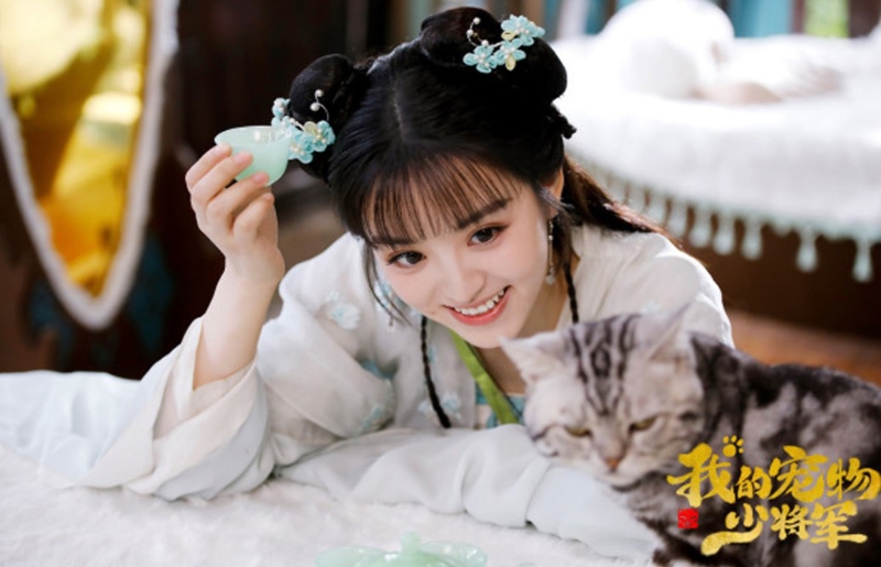 Thiếu tướng quân thú cưng của tôi (Be My Cat, 2021)