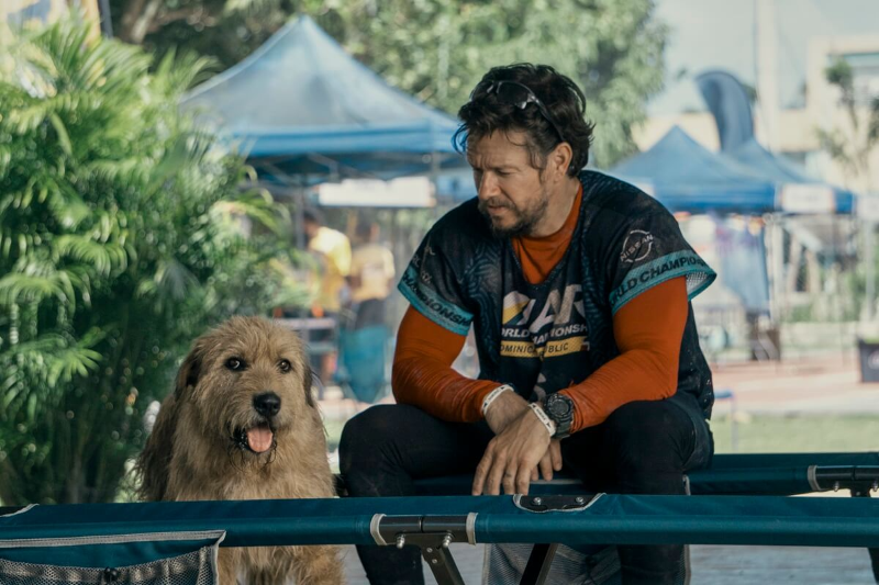 Các tập phim có sự tham gia của Mark Wahlberg - hình 10