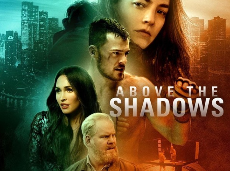 Các tập phim có sự tham gia của Megan Fox - hình 11