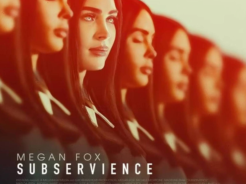 Các tập phim có sự tham gia của Megan Fox - hình 2