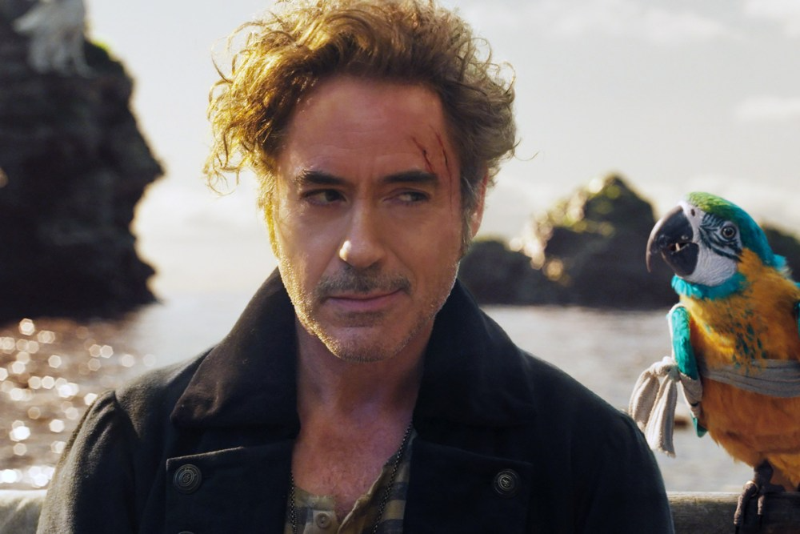 Các tập phim có sự tham gia của Robert Downey JR. - hình 12